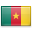 Cameroon flag