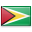 Guyana flag