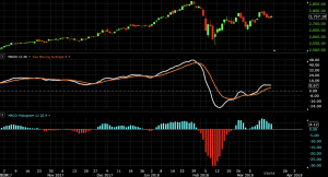 macd histogram