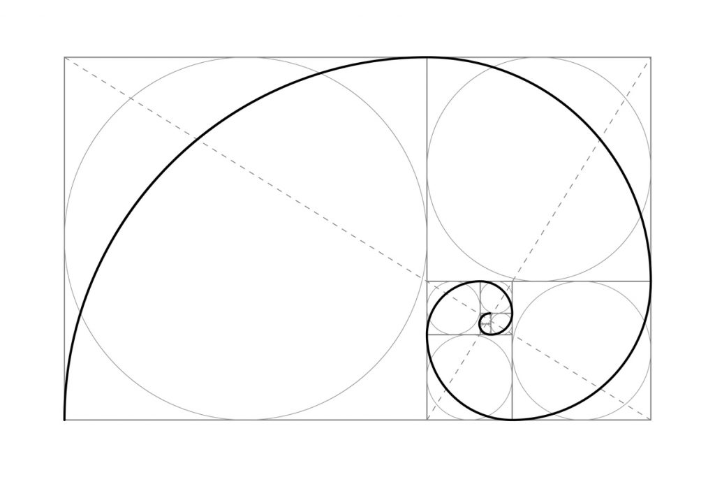 Fibonnaci Theory Golden ratio