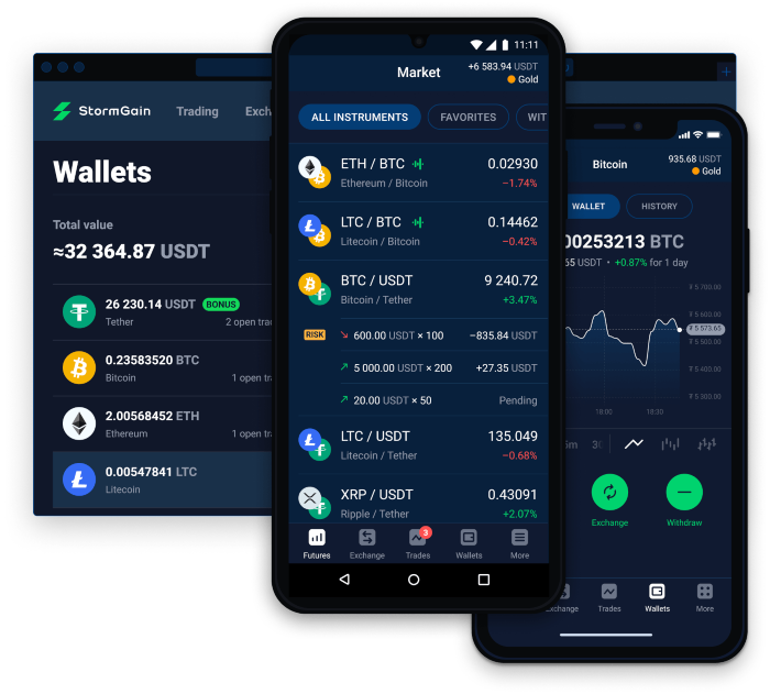 StormGain mobile app review