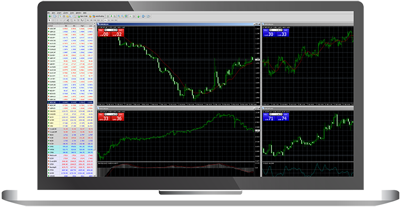 Amana Capital MetaTrader 5