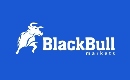 BlackBull Markets logotype