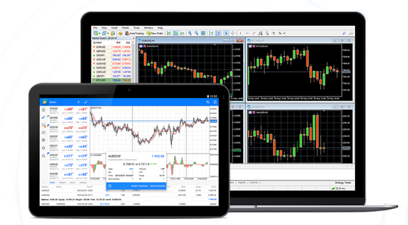 Darwinex automated trading