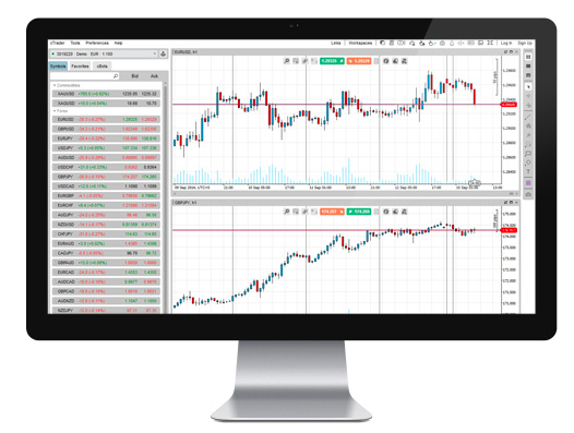 FIBO Group cTrader