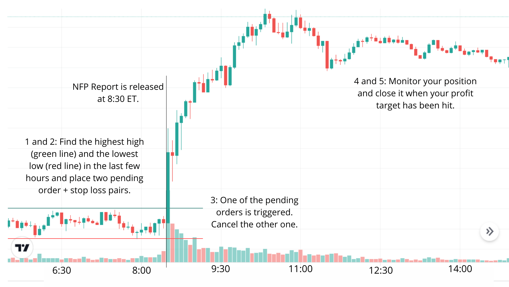 NFP Trading Guide 2024 Top Tips, Strategies And Brokers