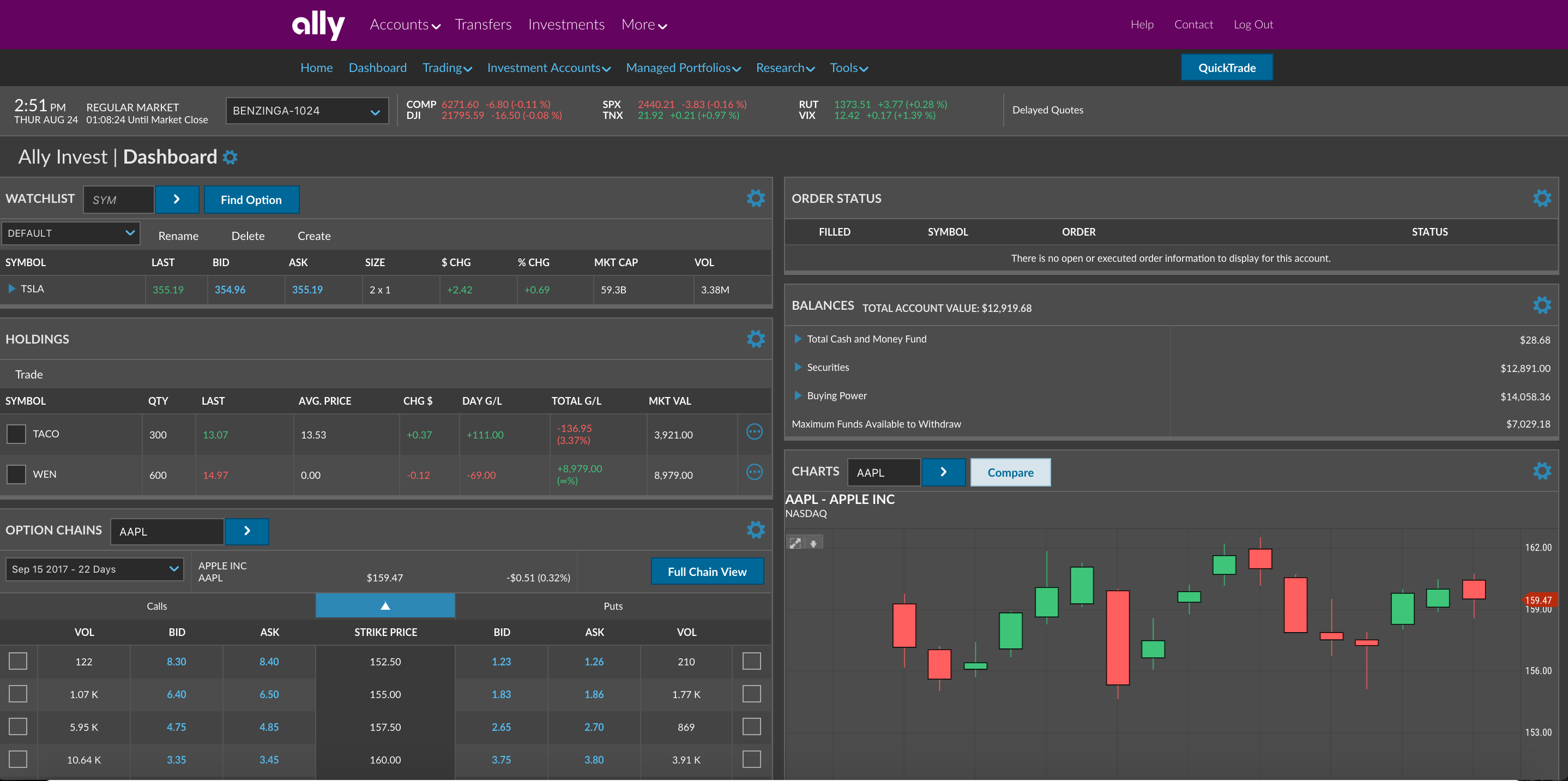 Screenshot of Ally Invest online platform with charts and stock value overview sections. 