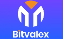 Bitvalex Logo