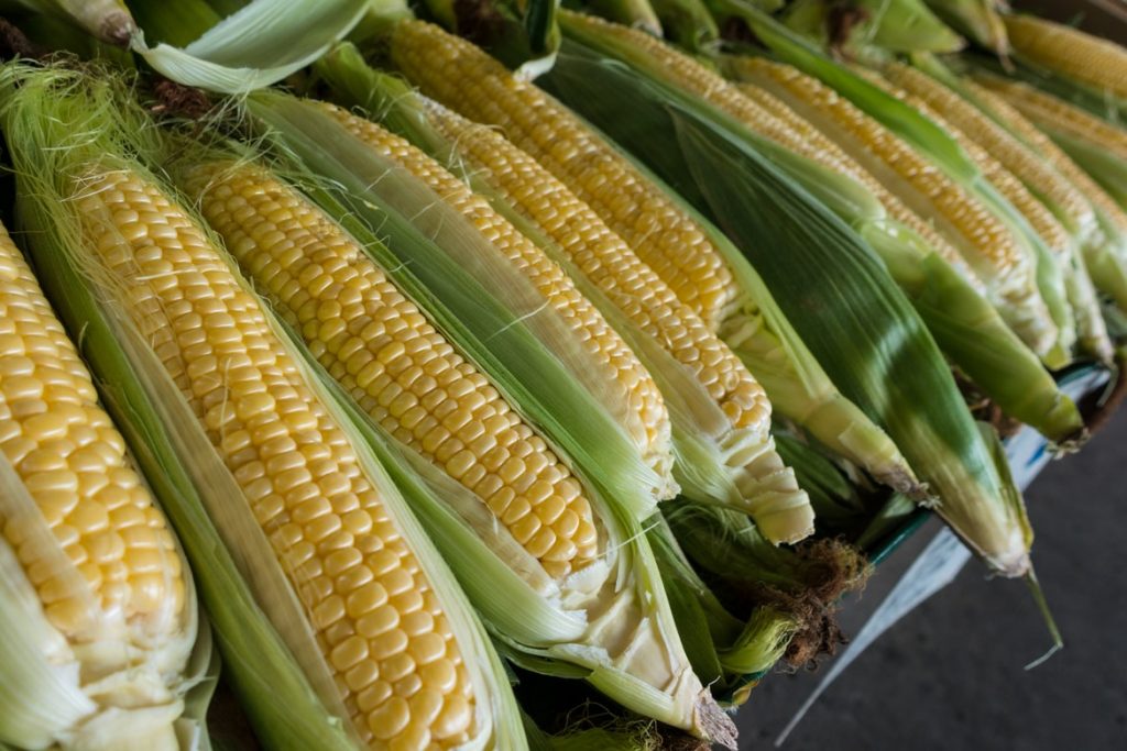 Corn trading guide with strategies and top tips