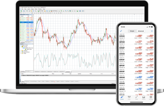 TopFX online platforms