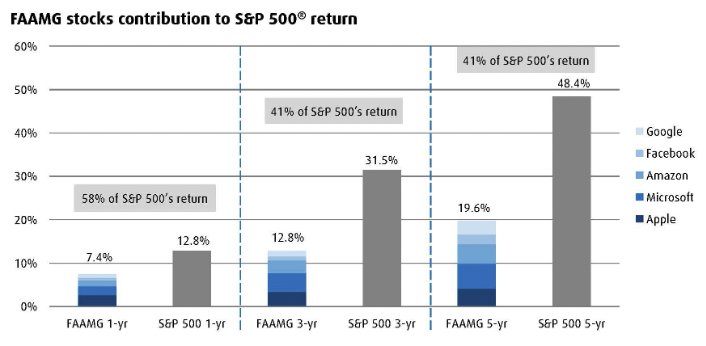 FAAMG stocks contribution to S&P 500 return
