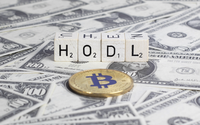 What is HODL? [Crypto Strategies]