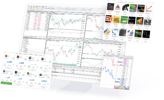 FXC trading platforms and yield