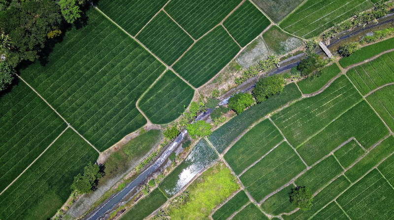 Farmland is a unique asset because what it produces (e.g., food and agricultural crops) is not as growth sensitive as other commodities, such as oil and gas.