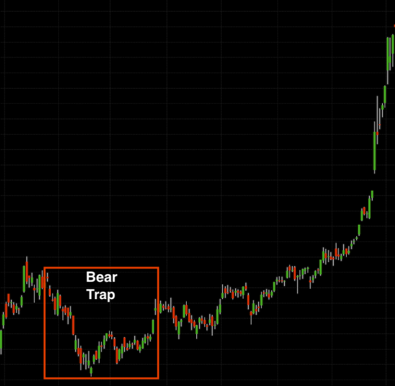 Bear Trap