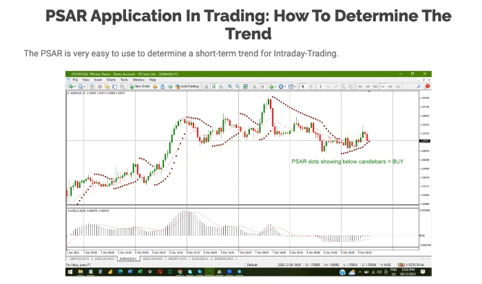 7Bforex trading education