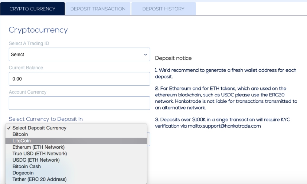 Making a deposit on Hankotrade