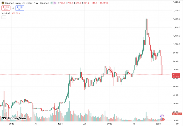 BNB Vs Dogecoin: Which To Trade and Top Platforms