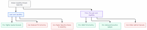 Last Look in FX Trading: Execution Optionality, Liquidity Risk, and Trader-Level Controls